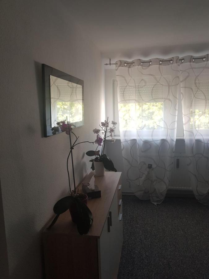 Ruhig Gelegenes Objekt - Netflix,Balkon, Nespressomaschine, Fahrraeder- 7 Minuten Vom See Fuer Den Perfekten Urlaub Im Sueden Uhldingen-Mühlhofen Esterno foto